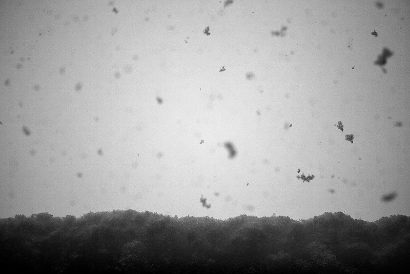 Illustration for article titled Shooting Challenge: Gray Winter